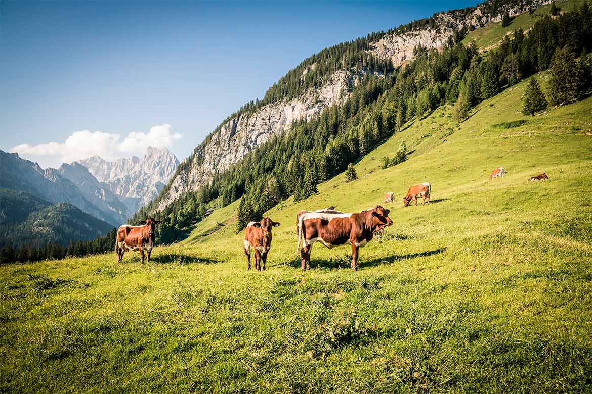 Nationalpark-Berchtesgaden