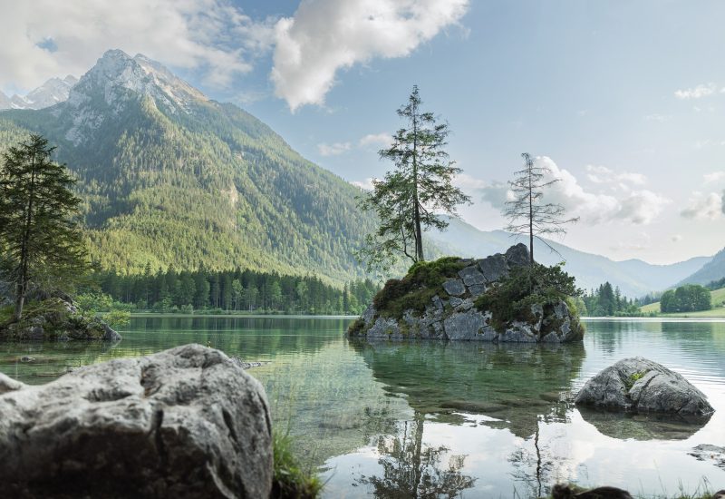 Ein ruhiger See mit klarer, spiegelnder Wasseroberfläche, umgeben von Felsen und grünen Bäumen, mit einer kleinen Insel in der Mitte, auf der zwei spazierende Bäume wachsen, vor einer bergigen, bewaldeten Landschaft unter einem bewölkten Himmel.